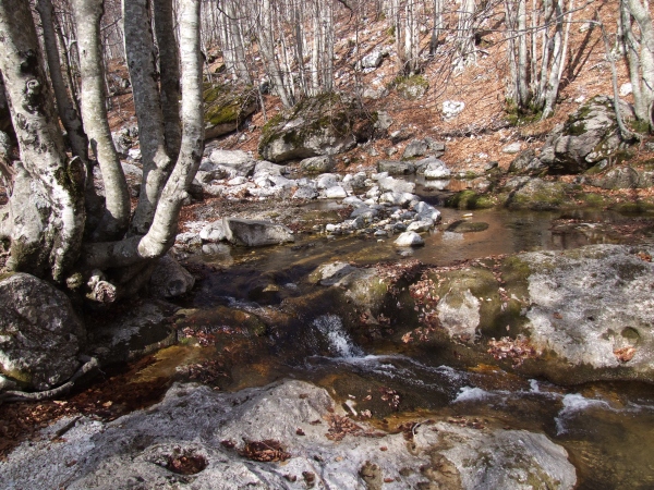 La Valle di Canneto (FR) Parco Nazionale D''Abruzzo